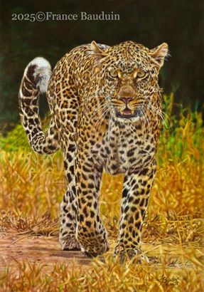 Wild & Free - 101.5 hours
Sand Pastelmat
16.5" x 12"
Top 10 Sketch for Survival 2025